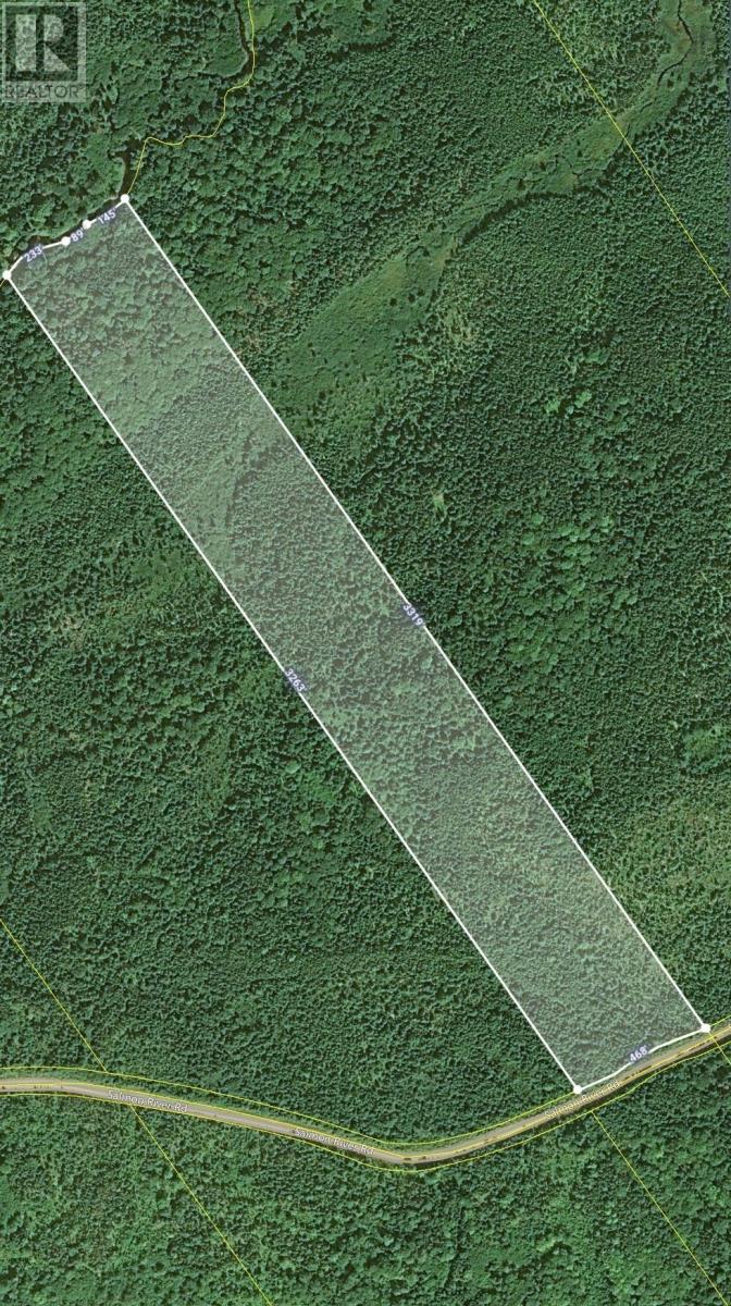 Salmon River Road, Enon, Nova Scotia  B1J 1X4 - Photo 26 - 202523775