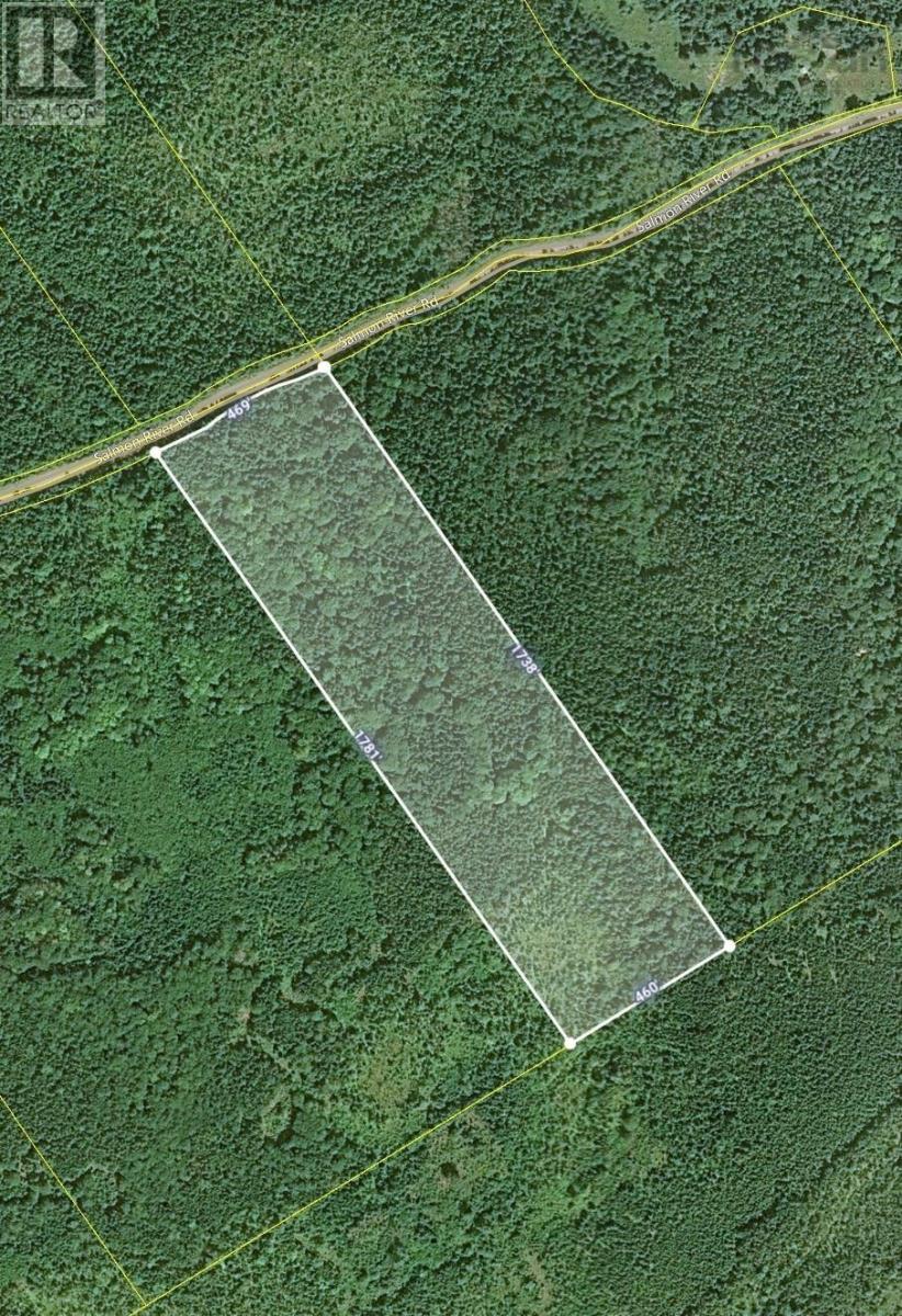 Salmon River Road, Enon, Nova Scotia  B1J 1X4 - Photo 27 - 202523775