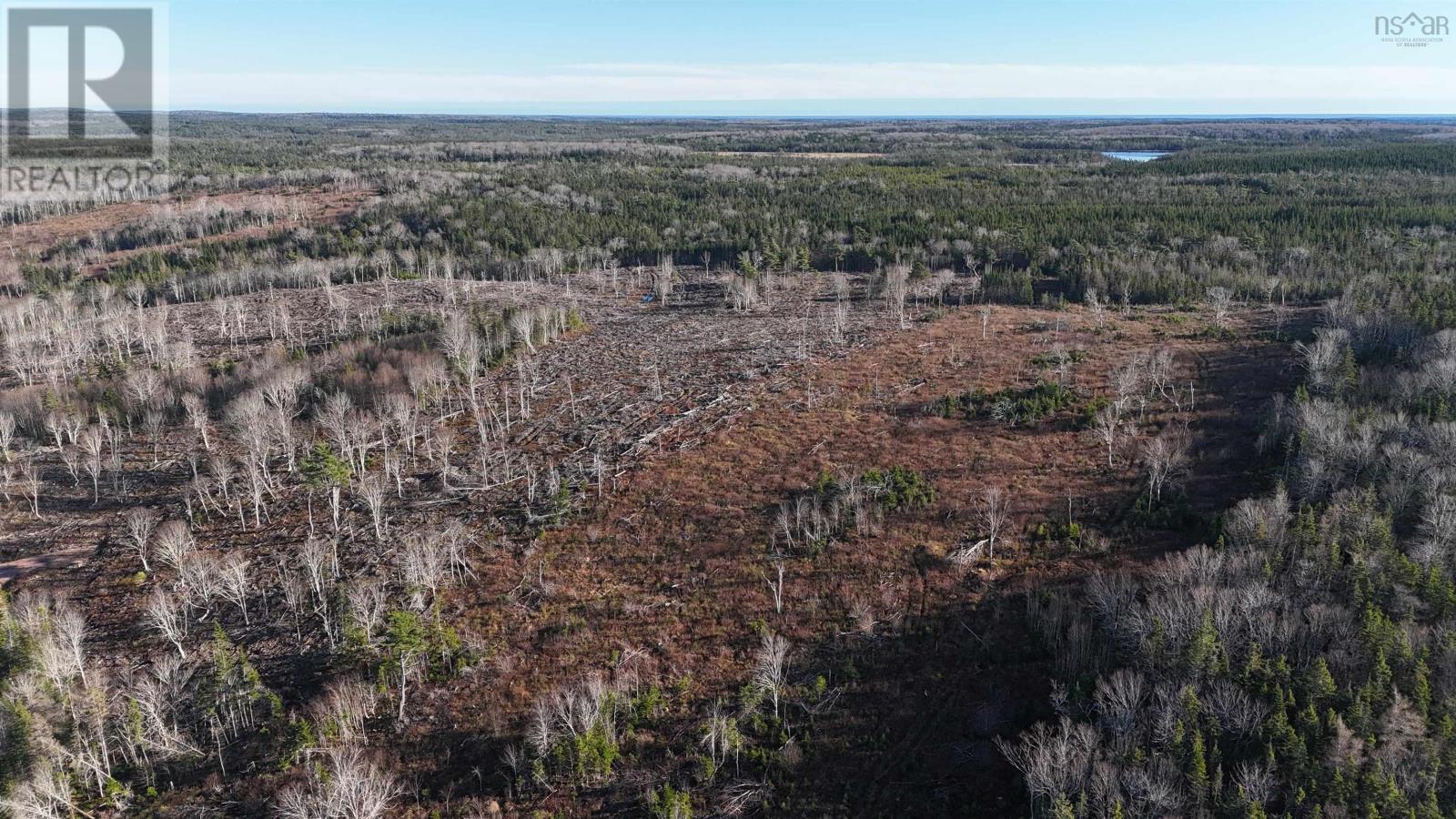 Salmon River Road, Enon, Nova Scotia  B1J 1X4 - Photo 3 - 202523775