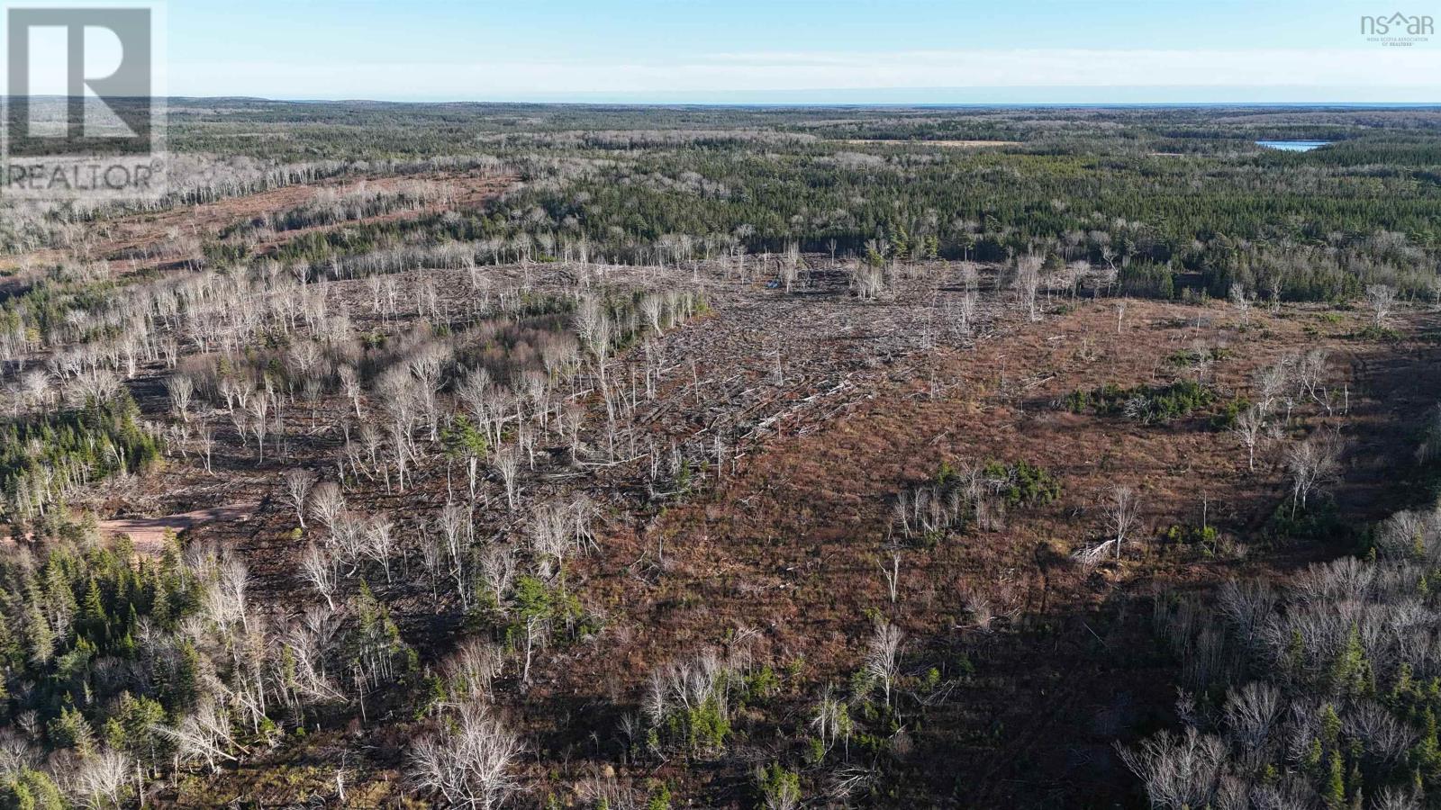Salmon River Road, Enon, Nova Scotia  B1J 1X4 - Photo 4 - 202523775