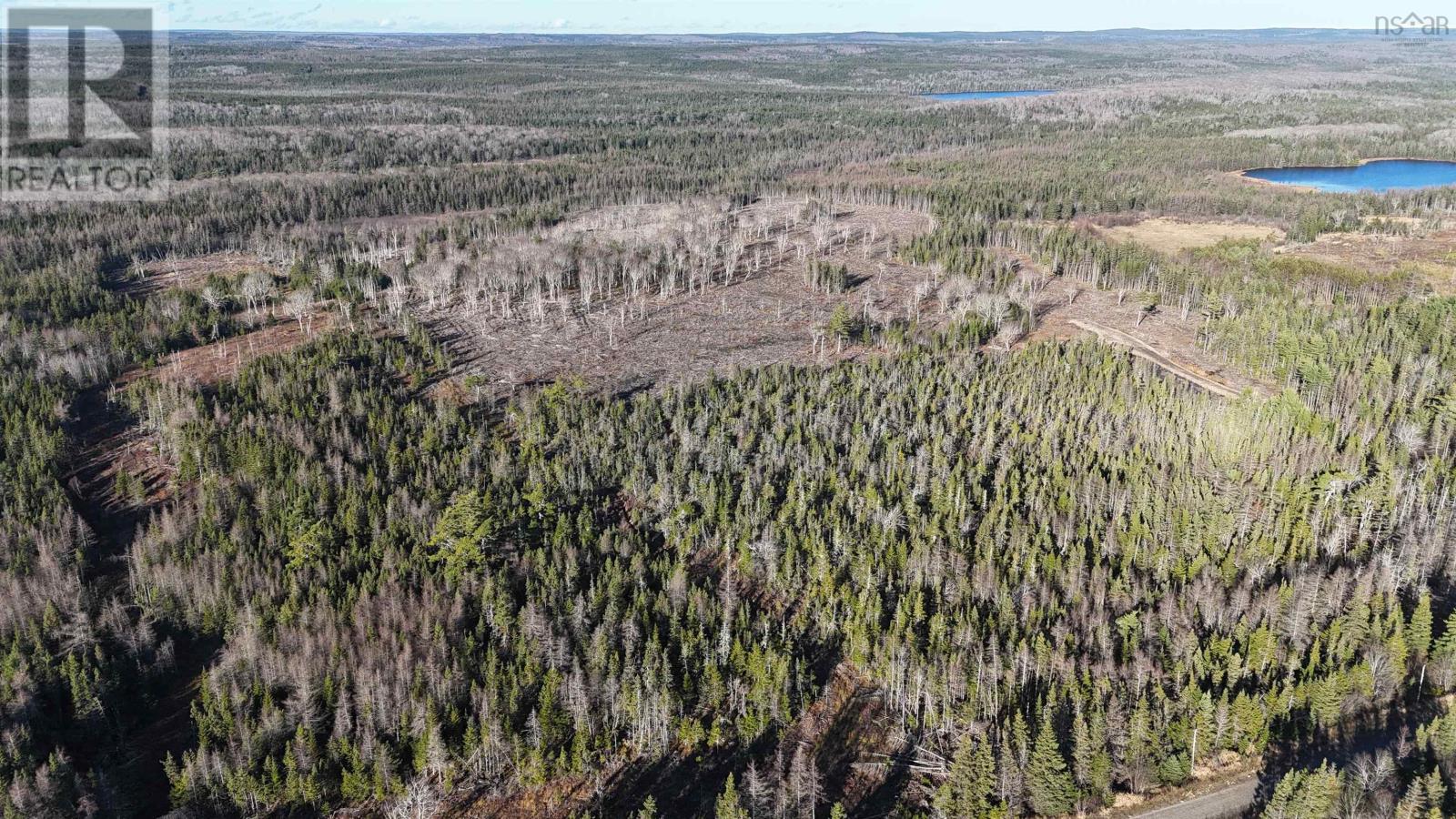 Salmon River Road, Enon, Nova Scotia  B1J 1X4 - Photo 7 - 202523775