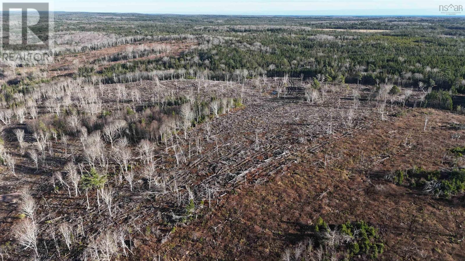 Salmon River Road, Enon, Nova Scotia  B1J 1X4 - Photo 8 - 202523775