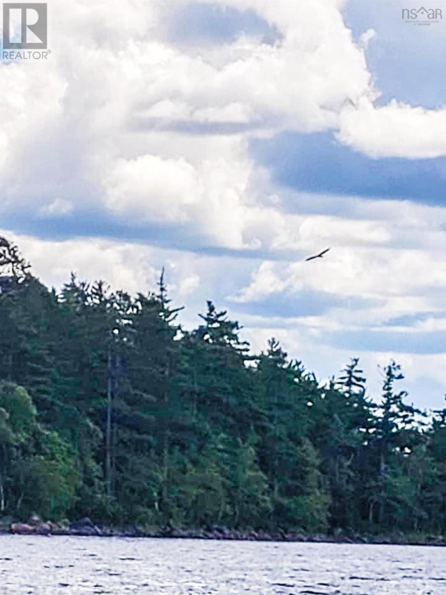 Lot Ten Mile Lake, Middlefield, Nova Scotia  B0T 1E0 - Photo 5 - 202523788