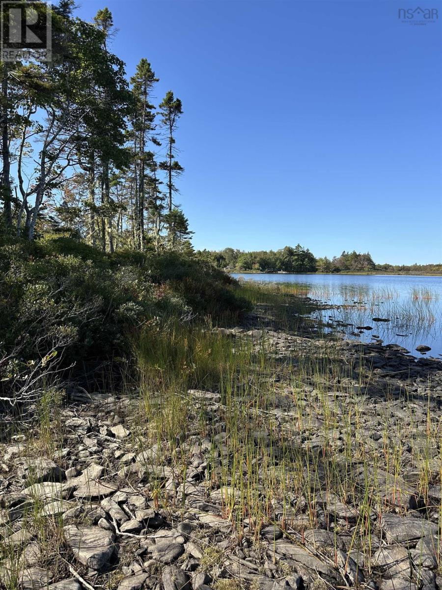 Highway 101, Grosses Coques, Nova Scotia  B0W 1M0 - Photo 10 - 202523799