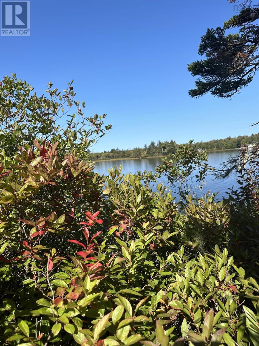 Highway 101, Grosses Coques, Nova Scotia  B0W 1M0 - Photo 11 - 202523799