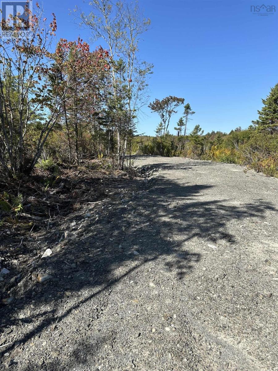 Highway 101, Grosses Coques, Nova Scotia  B0W 1M0 - Photo 5 - 202523799