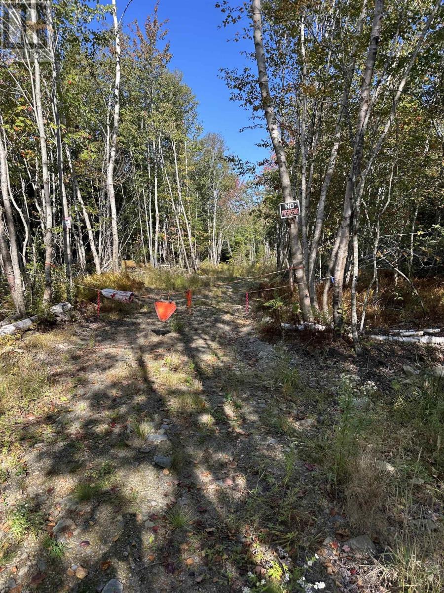 Highway 101, Grosses Coques, Nova Scotia  B0W 1M0 - Photo 7 - 202523799