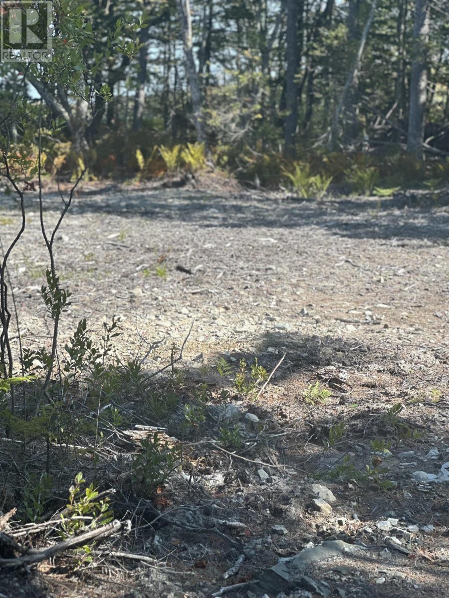 Highway 101, Grosses Coques, Nova Scotia  B0W 1M0 - Photo 9 - 202523799