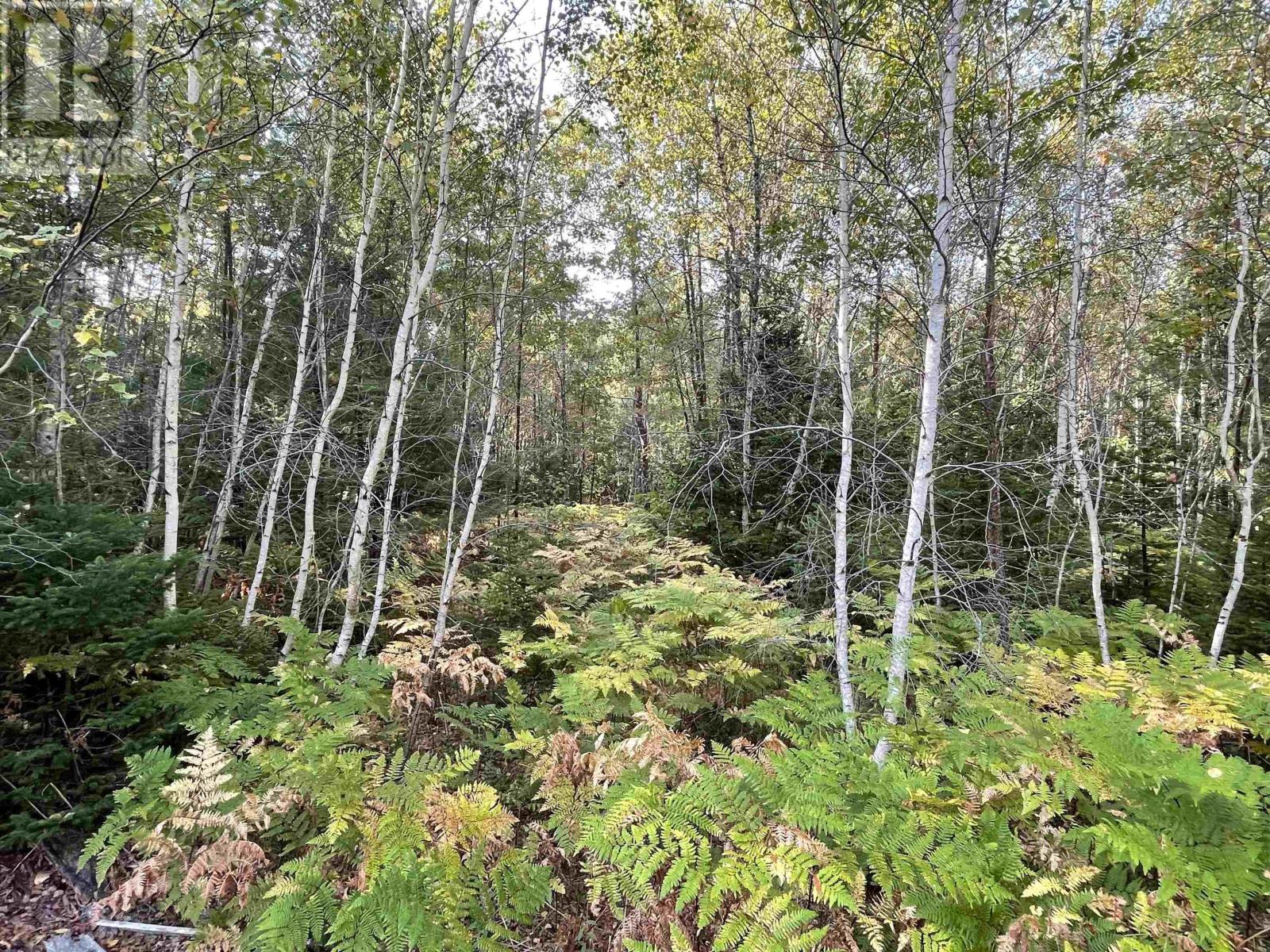 69 Mackay Road, Union Square, Nova Scotia  B0R 1E0 - Photo 3 - 202523844