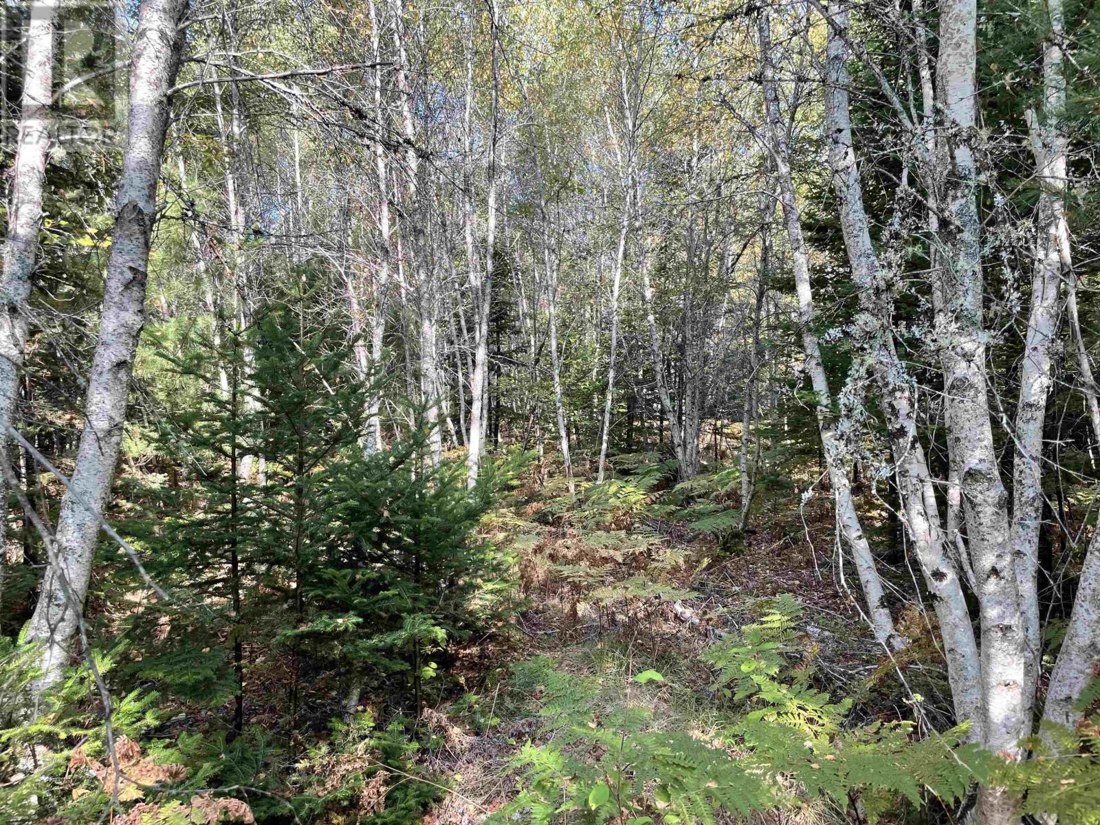 69 Mackay Road, Union Square, Nova Scotia  B0R 1E0 - Photo 5 - 202523844