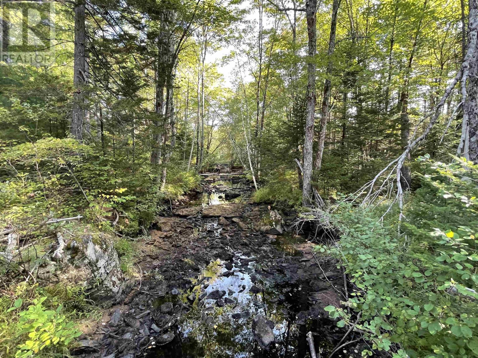 69 Mackay Road, Union Square, Nova Scotia  B0R 1E0 - Photo 8 - 202523844