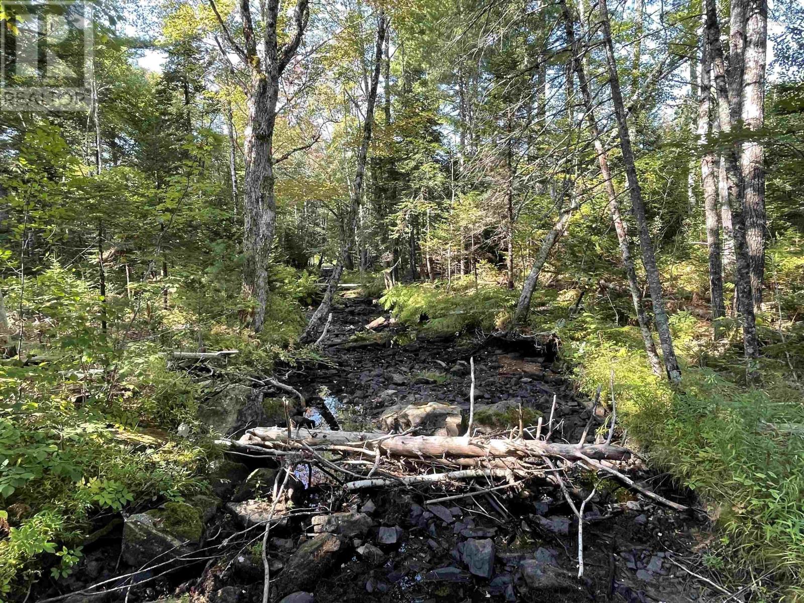 69 Mackay Road, Union Square, Nova Scotia  B0R 1E0 - Photo 9 - 202523844