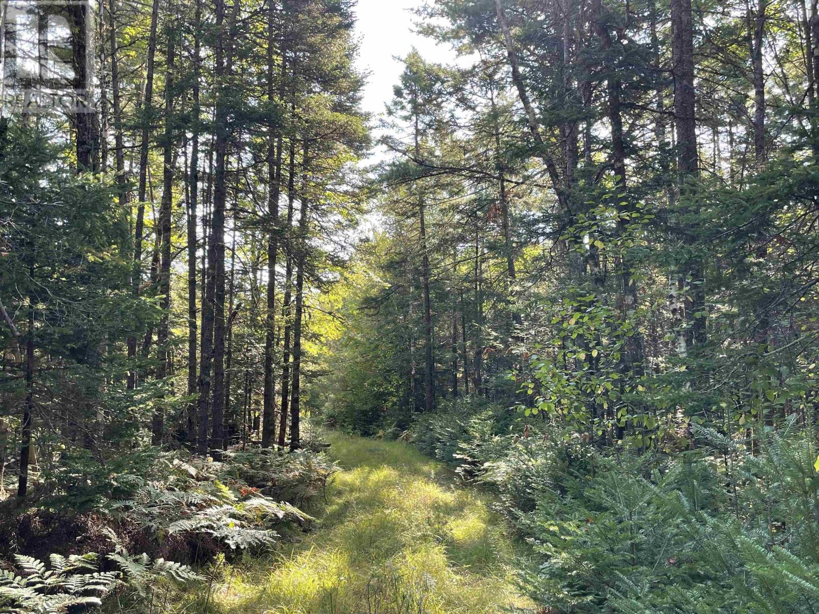 69 Mackay Road, union square, Nova Scotia