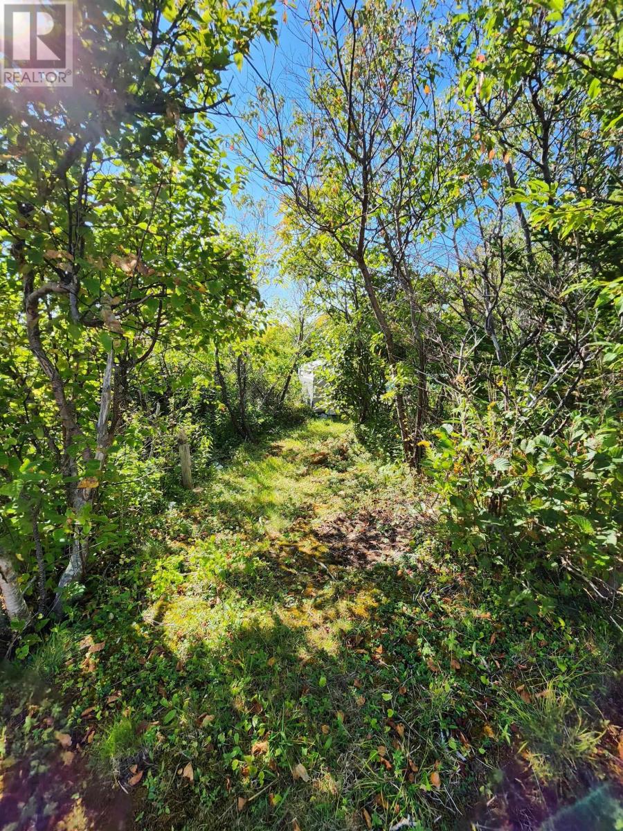 Dover Road, Little Dover, Nova Scotia  B0H 1V0 - Photo 11 - 202523898