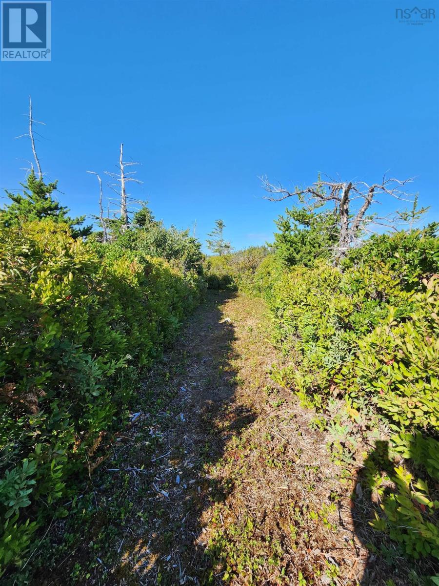 Dover Road, Little Dover, Nova Scotia  B0H 1V0 - Photo 20 - 202523898