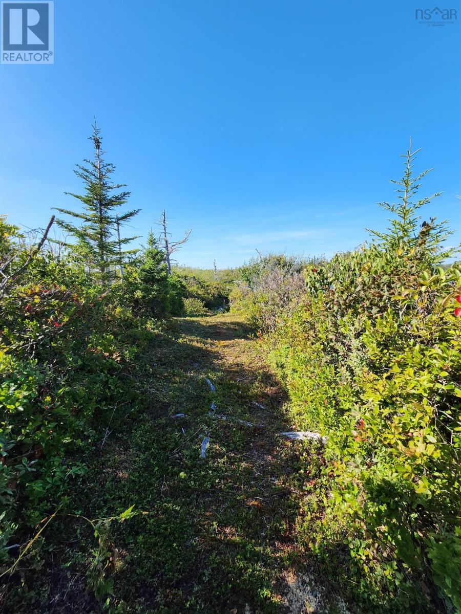 Dover Road, Little Dover, Nova Scotia  B0H 1V0 - Photo 21 - 202523898