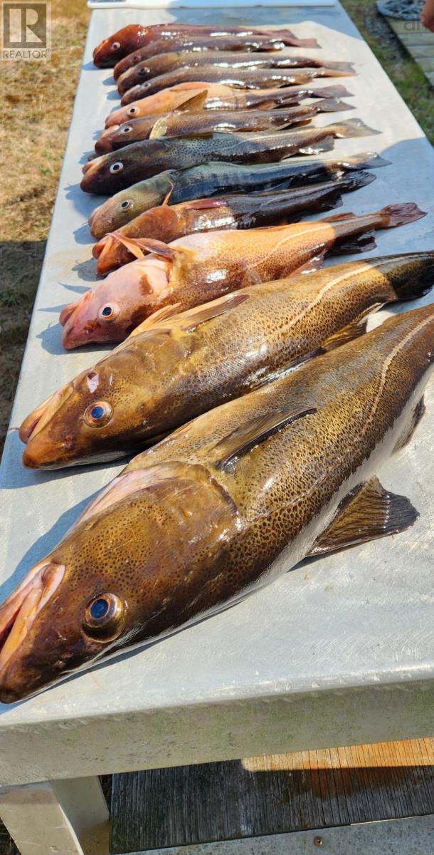 Dover Road, Little Dover, Nova Scotia  B0H 1V0 - Photo 9 - 202523898