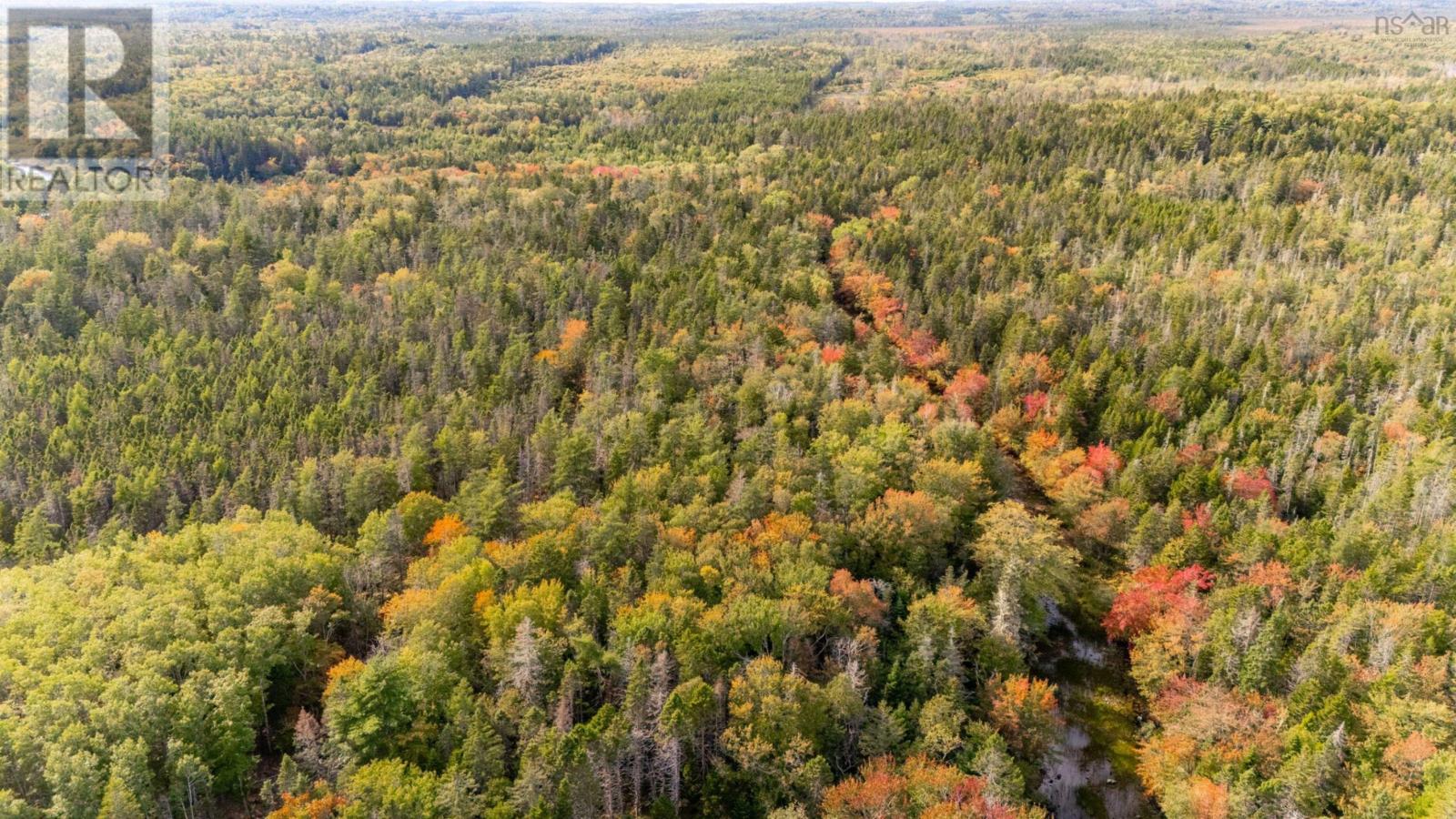 Burridge Road, Mayflower, Nova Scotia  B0W 2Y0 - Photo 4 - 202523942