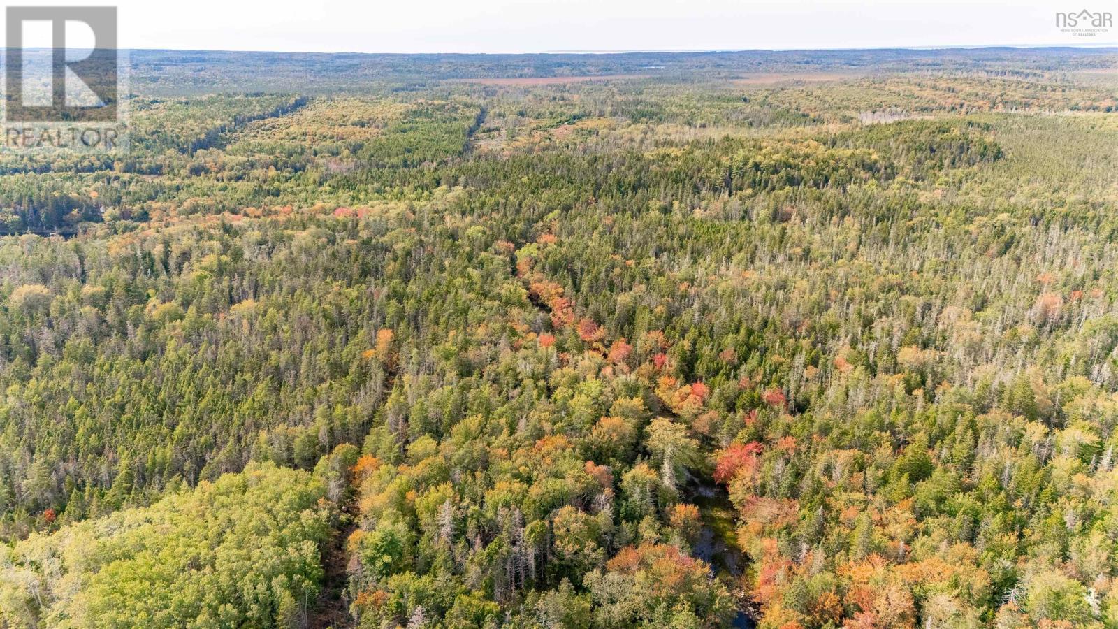 Burridge Road, Mayflower, Nova Scotia  B0W 2Y0 - Photo 5 - 202523942