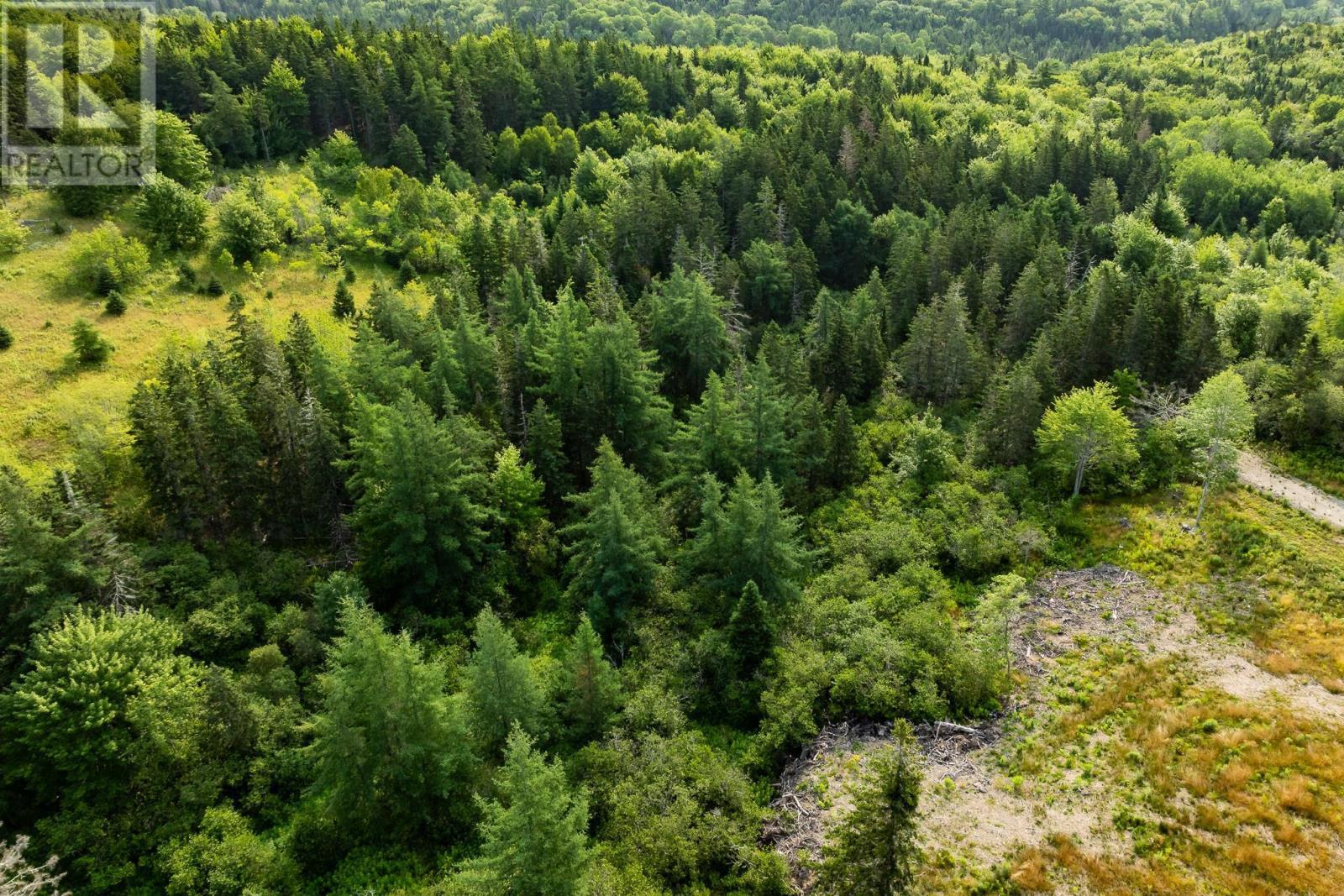 Lot 5 Highway 19, Hawleys Hill, Mabou, Nova Scotia  B0E 1X0 - Photo 2 - 202523992