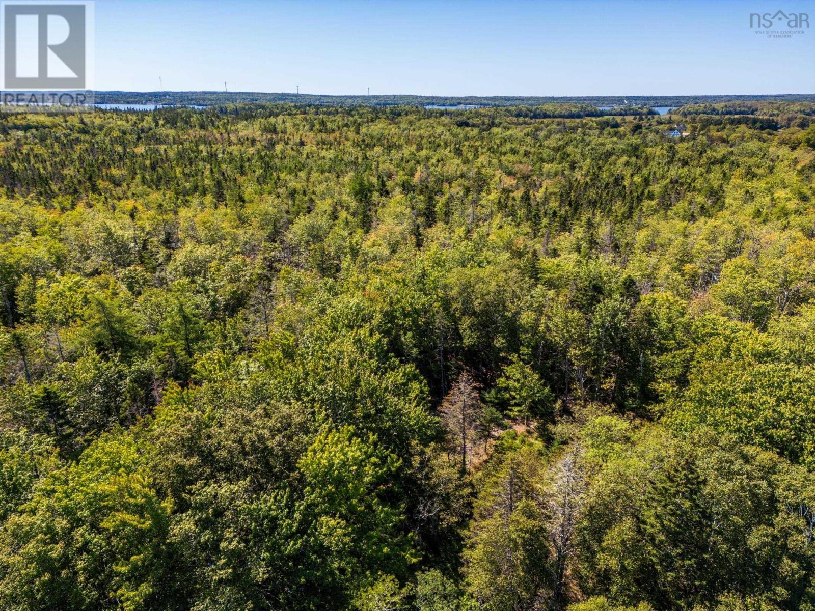 38 Chemin Des Ben Road, Sluice Point, Nova Scotia  B0W 3M0 - Photo 4 - 202524001