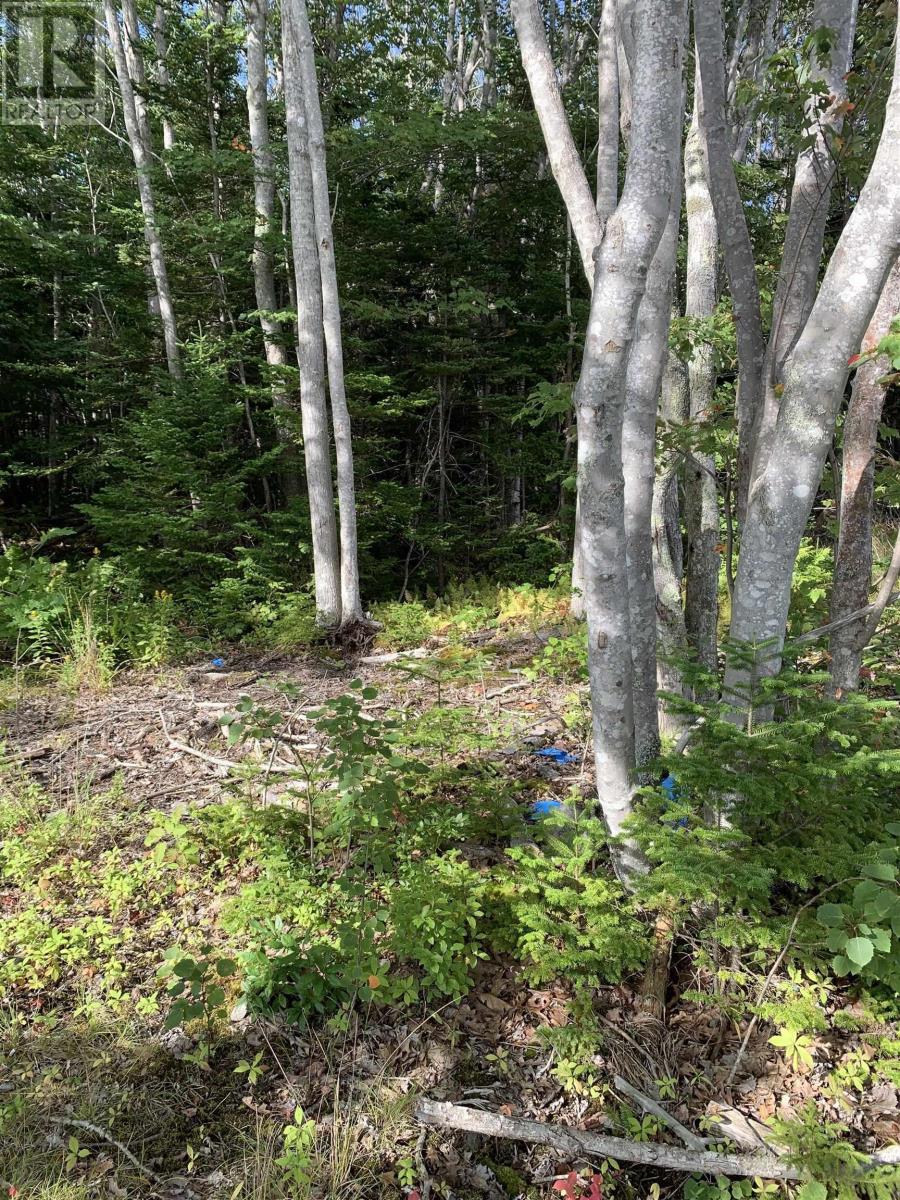 126 Belleville South Road, Tusket, Nova Scotia  B0W 3M0 - Photo 8 - 202524058