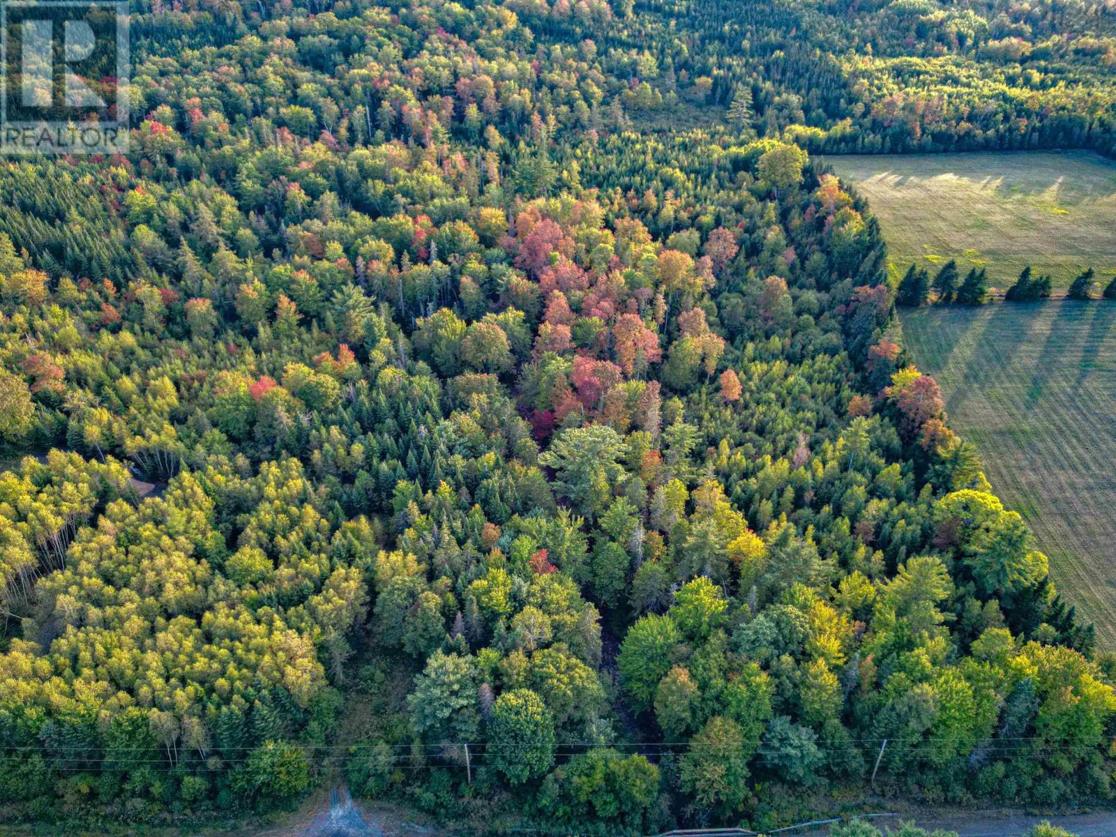 Lot Chesley Road, Barss Corner, Nova Scotia  B0R 1E0 - Photo 11 - 202524143