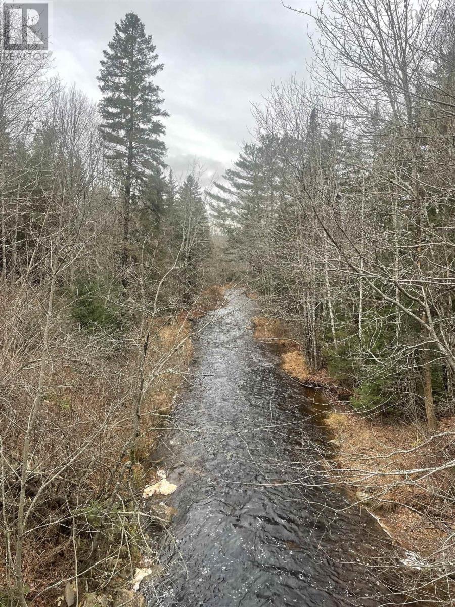 Lot Chesley Road, Barss Corner, Nova Scotia  B0R 1E0 - Photo 22 - 202524143