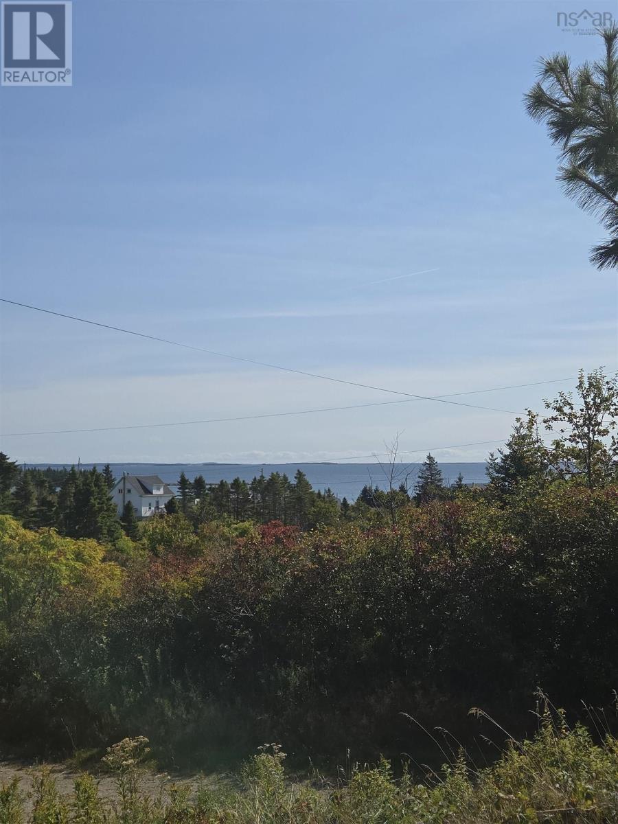 56 North Road, Charlos Cove, Nova Scotia  B0H 1T0 - Photo 3 - 202524226