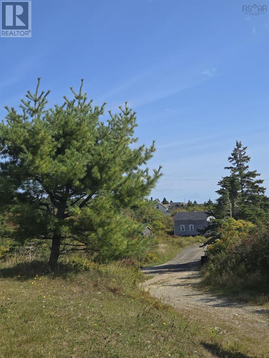 56 North Road, Charlos Cove, Nova Scotia  B0H 1T0 - Photo 4 - 202524226