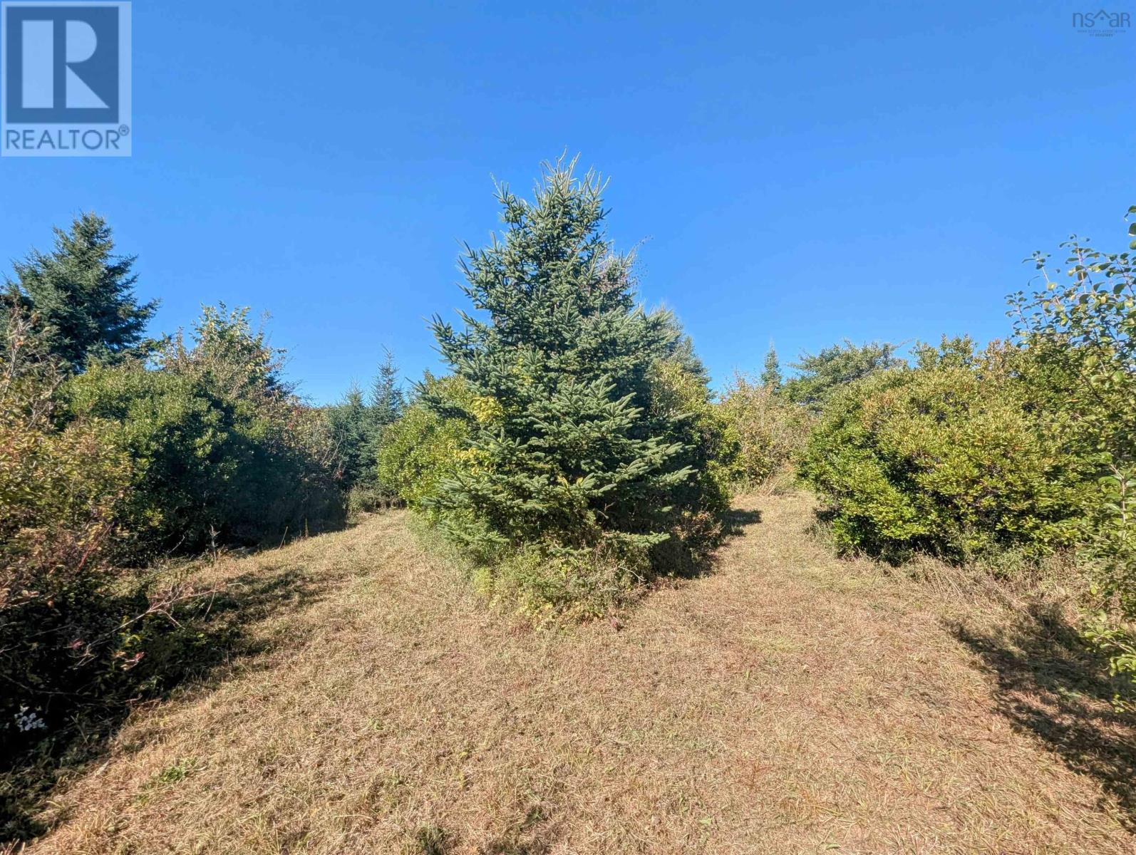 Lot 1 Avon Spirit Lane, Avondale, Nova Scotia  B0N 2A0 - Photo 15 - 202524361