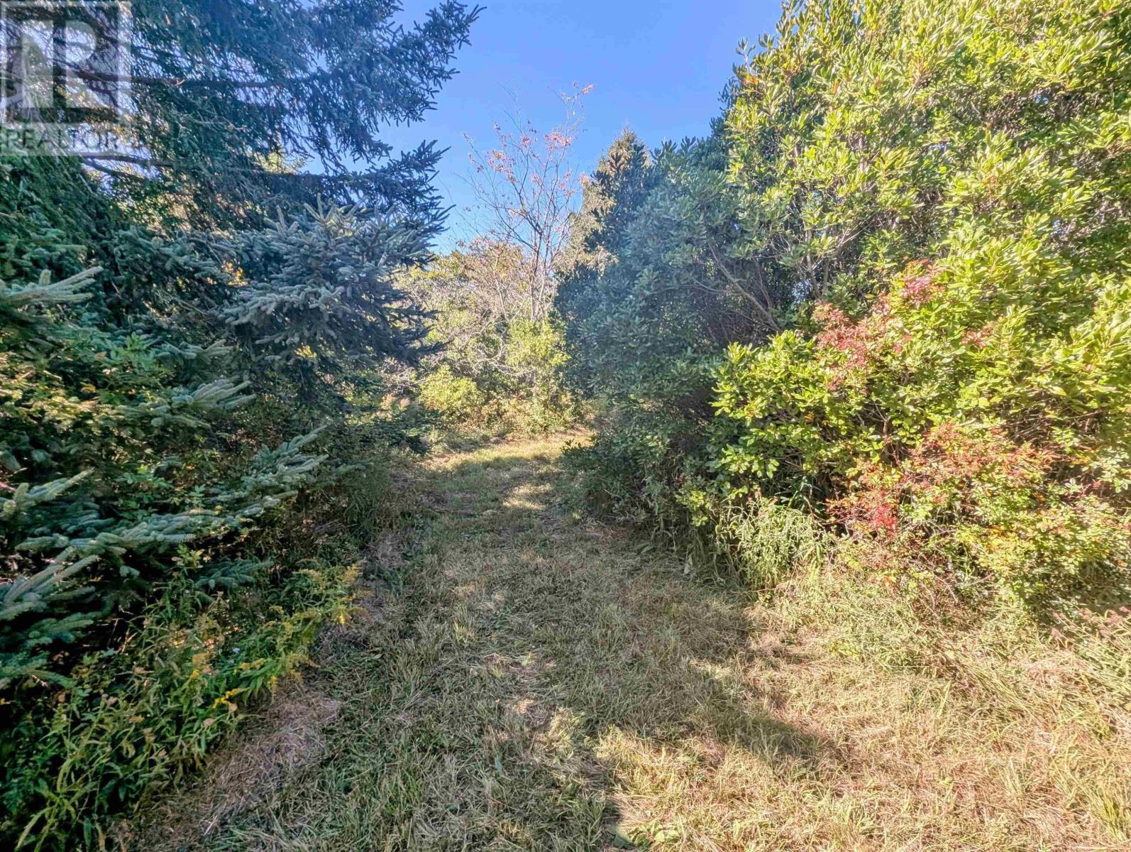 Lot 1 Avon Spirit Lane, Avondale, Nova Scotia  B0N 2A0 - Photo 16 - 202524361