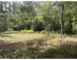 Block A Highway 325, west clifford, Nova Scotia