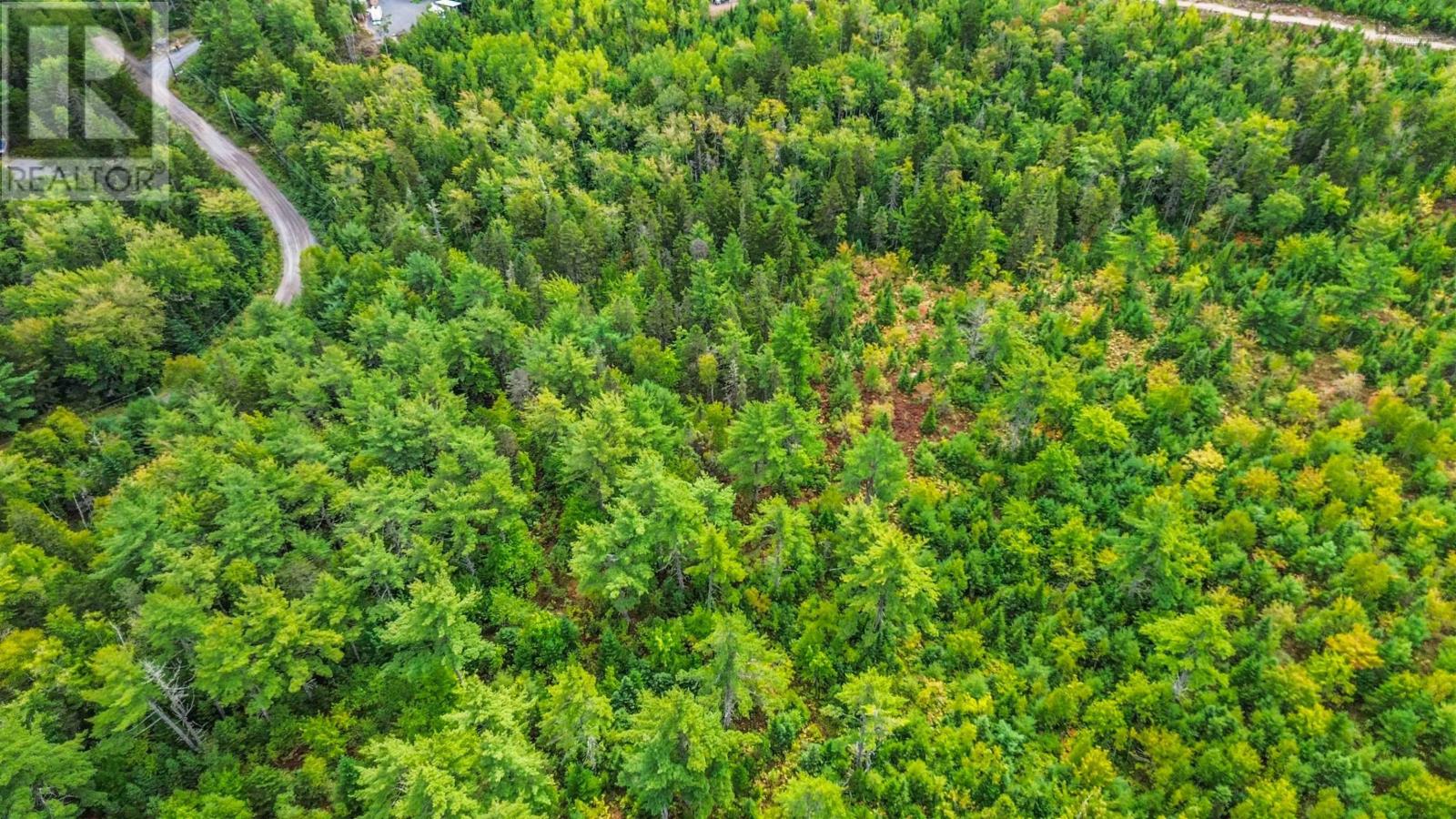 Lot P-5-3 Spruce Drive, Aylesford Lake, Nova Scotia  B4N 3V8 - Photo 8 - 202524445