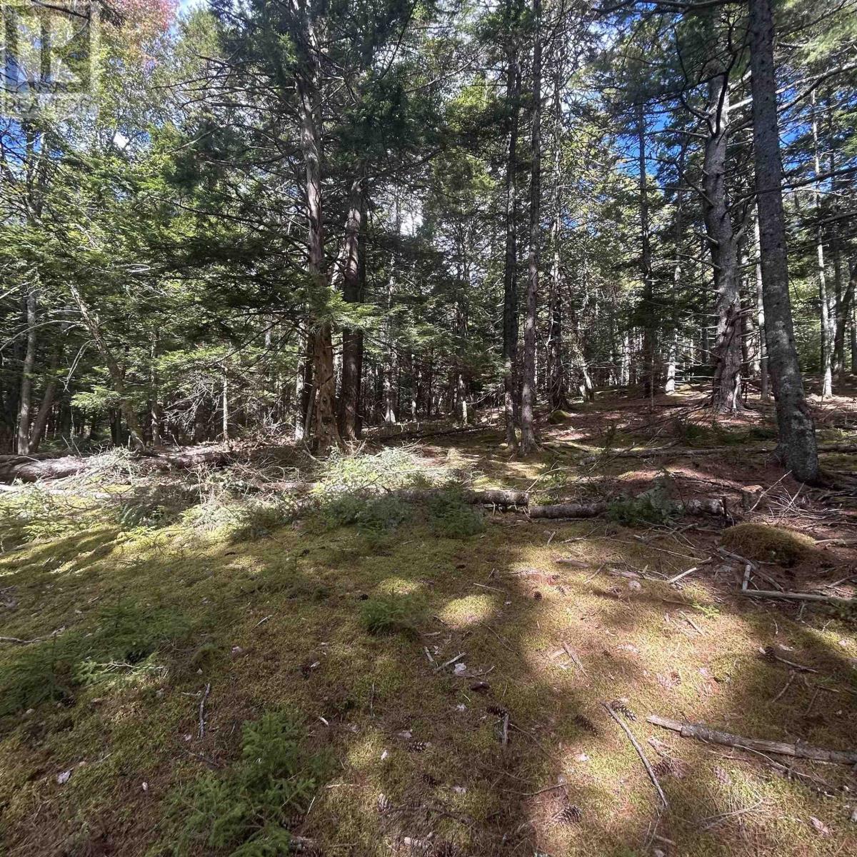 Lot 25-3 Conquerall Mills Road, Conquerall Mills, Nova Scotia  B4V 7A3 - Photo 4 - 202524449