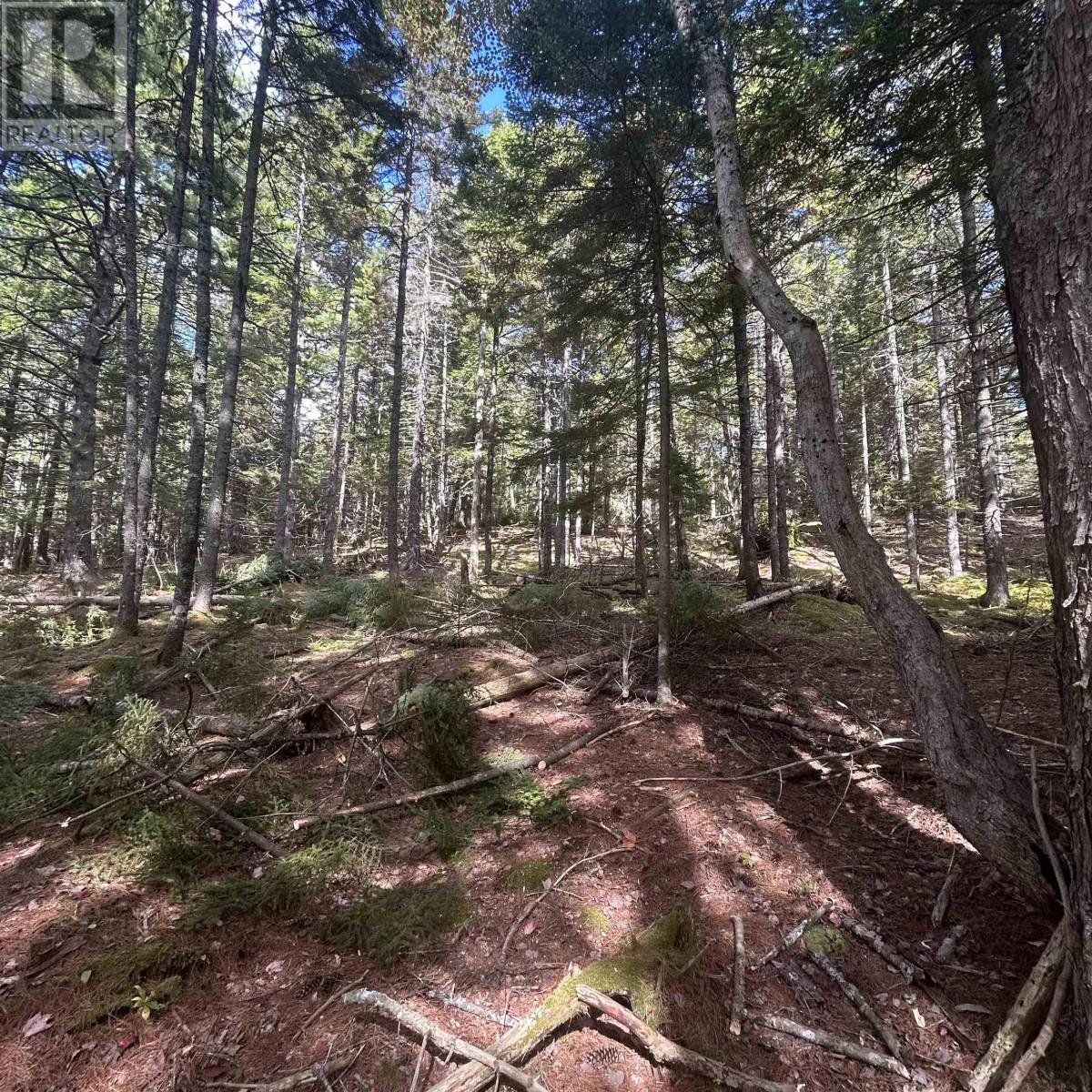 Lot 25-3 Conquerall Mills Road, Conquerall Mills, Nova Scotia  B4V 7A3 - Photo 7 - 202524449