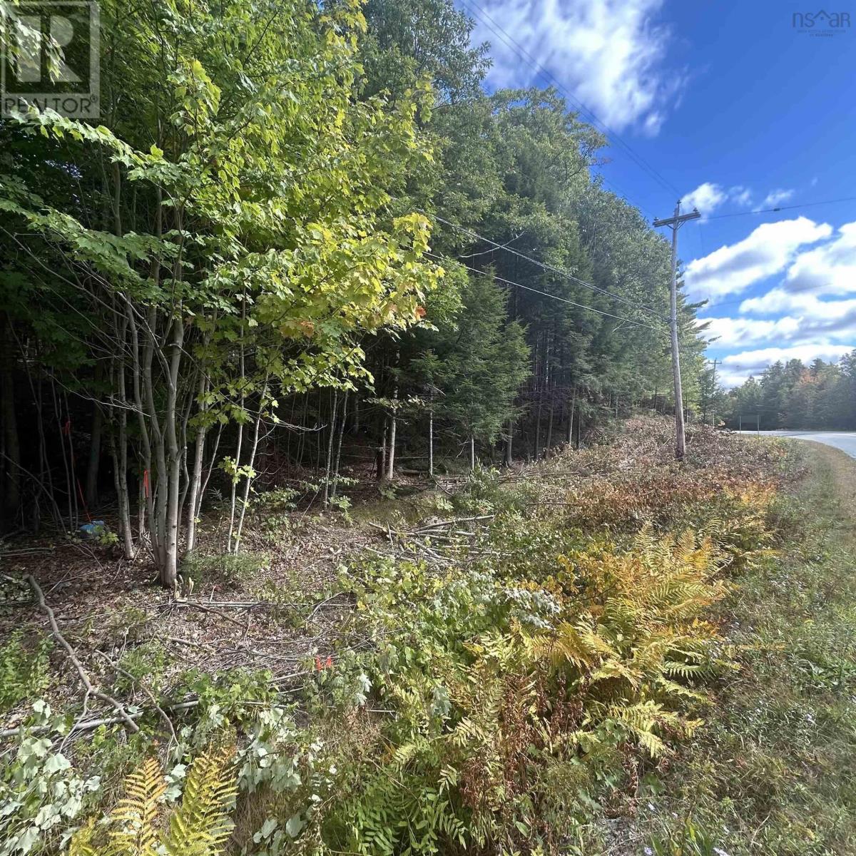 Lot 25-2 Conquerall Mills Road, conquerall mills, Nova Scotia