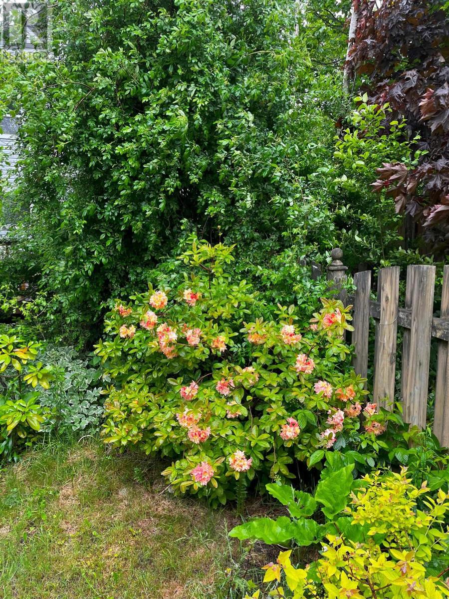 11 Glenbourne Court, Halifax, Nova Scotia  B3S 1E2 - Photo 38 - 202524518