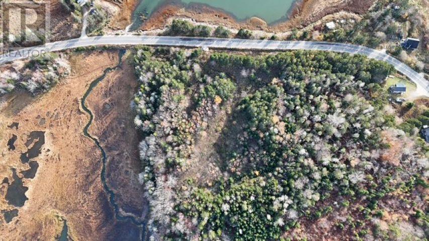 308 Highway, Morris Island, Nova Scotia  B0W 3M0 - Photo 3 - 202524589