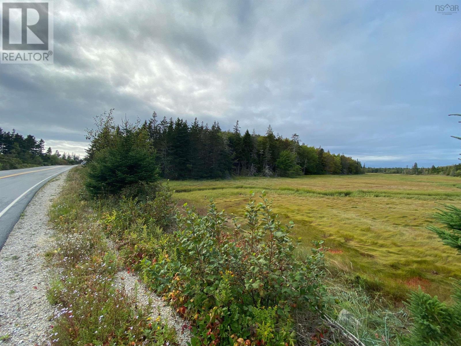 308 Highway, Morris Island, Nova Scotia  B0W 3M0 - Photo 4 - 202524589