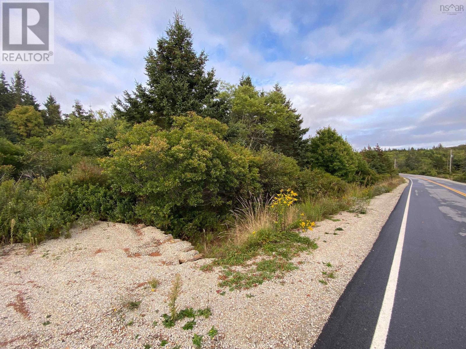 308 Highway, Morris Island, Nova Scotia  B0W 3M0 - Photo 5 - 202524589