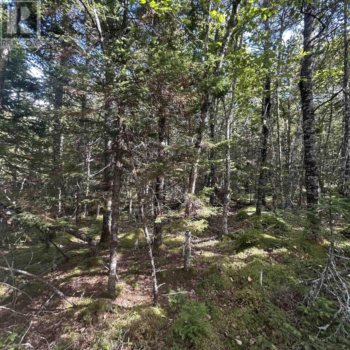 Lot 6-F-A Middle Road, Kingsburg, Nova Scotia  B0J 2X0 - Photo 7 - 202524697