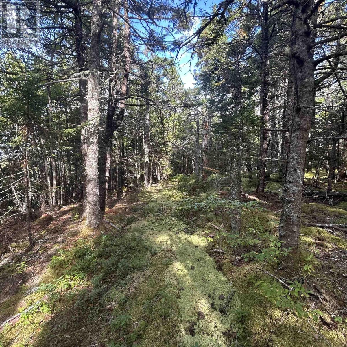 Lot 6-F-A Middle Road, Kingsburg, Nova Scotia  B0J 2X0 - Photo 8 - 202524697