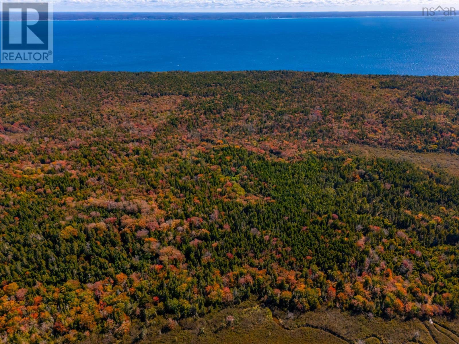 Highway 217, Central Grove, Nova Scotia  B0V 1B0 - Photo 2 - 202524811