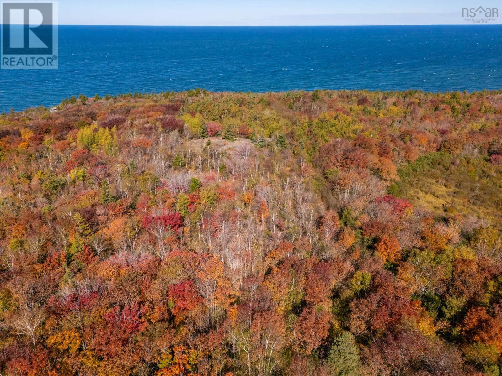 1762 Culloden Road, Culloden, Nova Scotia  B0S 1B0 - Photo 7 - 202524813