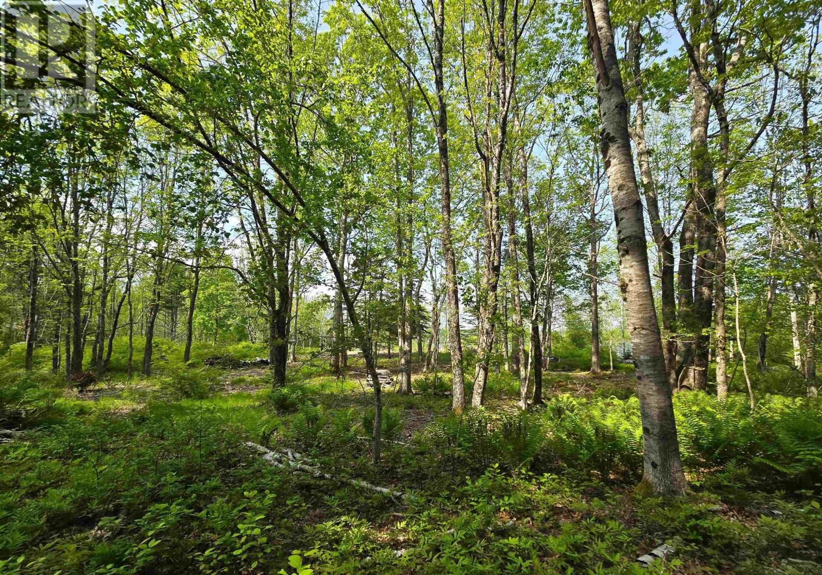 Lot Highway 3, Maders Cove, Nova Scotia  B0J 2E0 - Photo 26 - 202524849