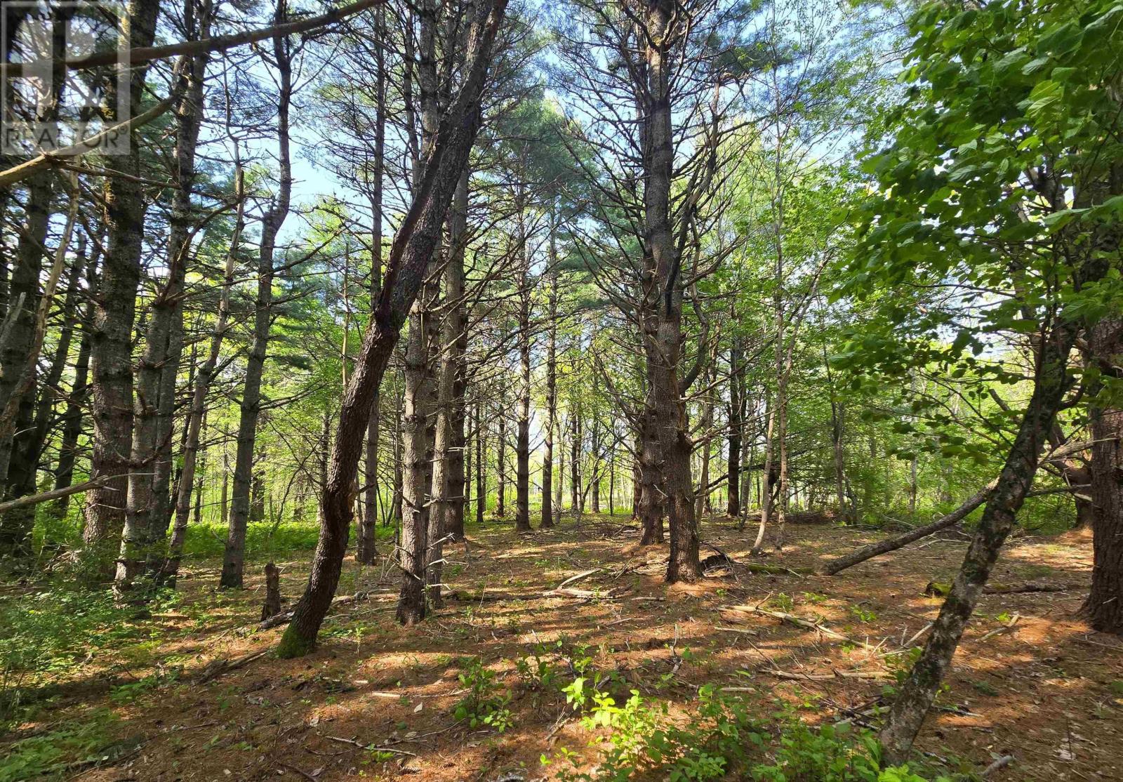 Lot Highway 3, Maders Cove, Nova Scotia  B0J 2E0 - Photo 27 - 202524849