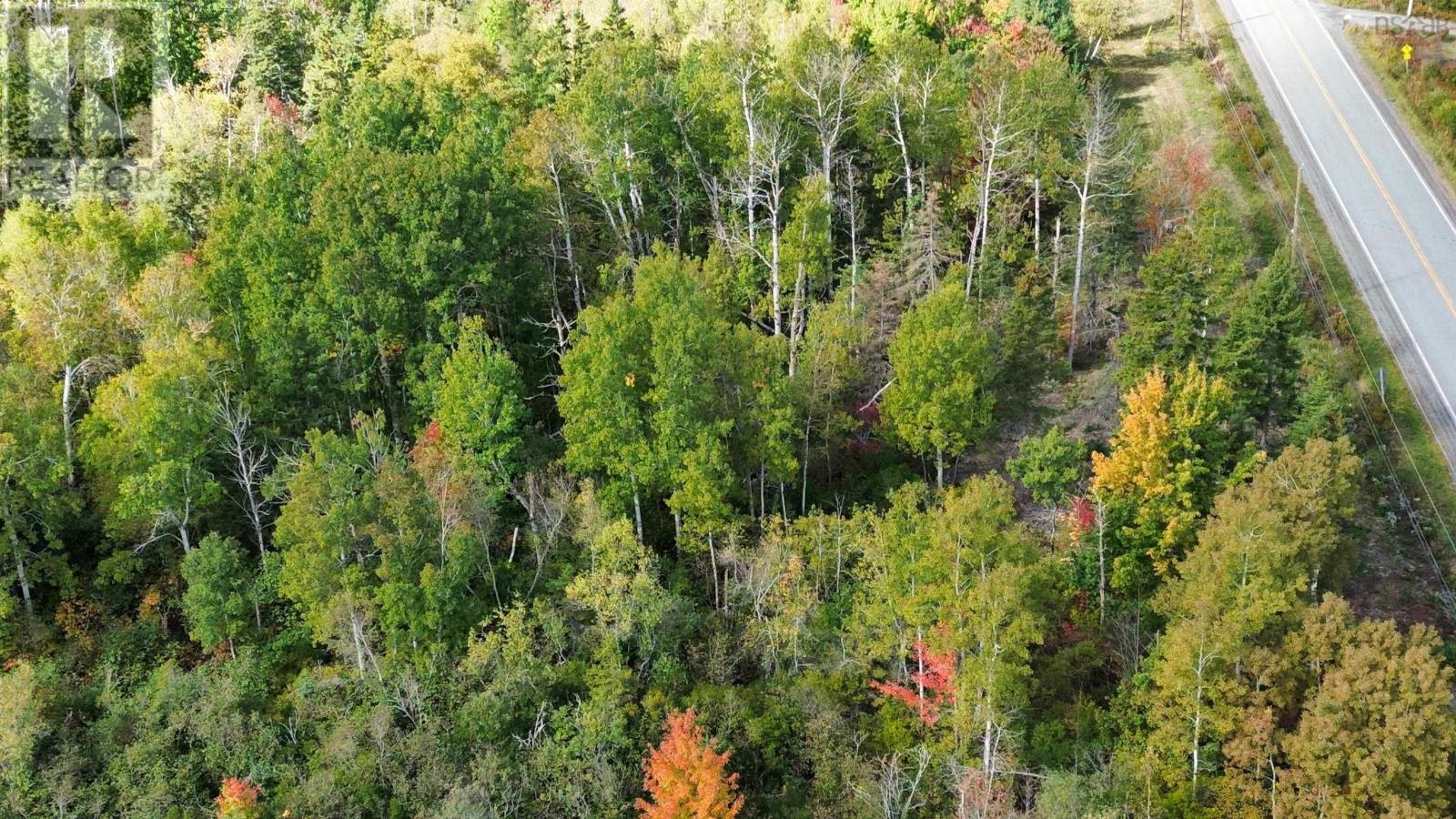 1-25 Hwy#6 Highway, Pugwash, Nova Scotia  B0K 1L0 - Photo 20 - 202524909