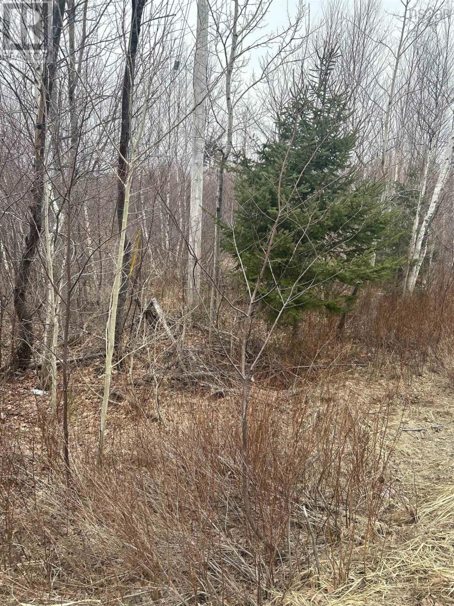 No 368 Highway Fountain Road, Wallace Bay, Nova Scotia  B0K 1Y0 - Photo 5 - 202525095