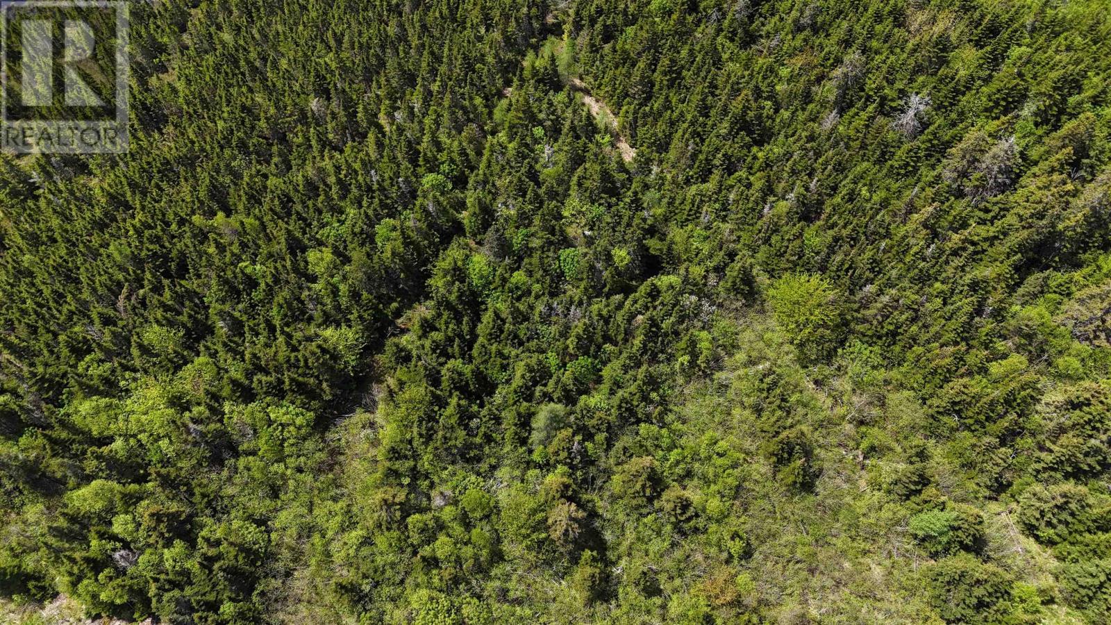 Highway 344, Sand Point, Nova Scotia  B0E 2G0 - Photo 12 - 202525116